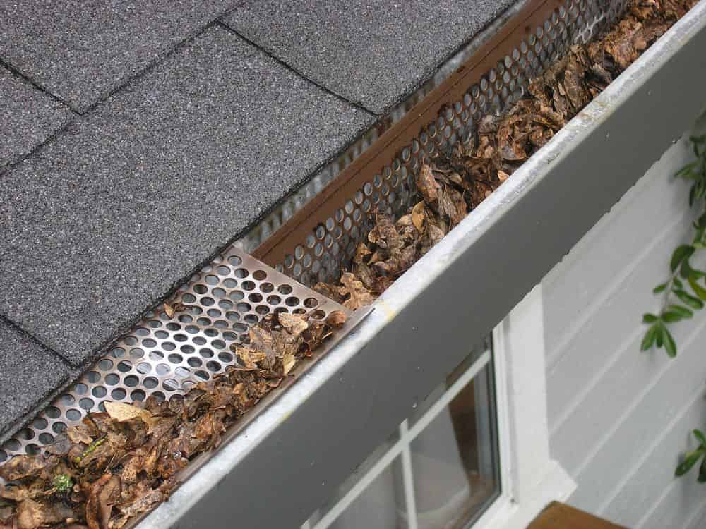 Gutter Cleaning image